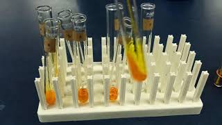 Identification of Unknown Organic Compounds
