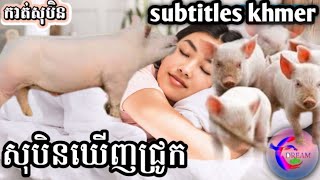 សុបិនឃើញសត្វជ្រូក(subtitles khmer)_@សុបិនDream