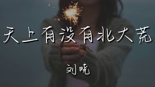 劉曉 - 天上有沒有北大荒『別讓我回頭望 讓我走一趟』【動態歌詞Lyrics】music 000iQ6Yb36TFKc#天上有没有北大荒#刘晓