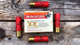 Vintage Winchester Double X 10 Gauge 54 Pellet #4 Buck - Breakdown