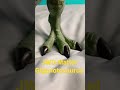 Jurassic World Dominion  like a river dinosaur style 😎😎😎🦖👑💥🦖👑💥🦖👑