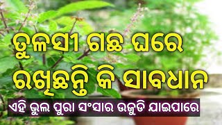 ତୁଳସୀ ଗଛ ଘରେ ଲଗାଇଛନ୍ତି କି ସାବଧାନ ଏହି ଭୁଲ ପୁରା ସଂସାର ଅସୁବିଧା ରେ ପଡିବେ