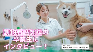 経専どうぶつ卒業生インタビュー【動物看護師編】