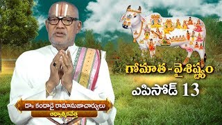 గోమాత వైశిష్ట్యం // ఎపిసోడ్ 13 // డాక్టర్ రంగ రామానుజాచార్యులు