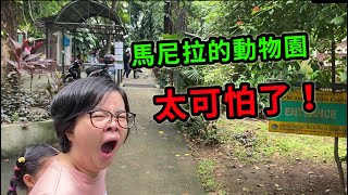 馬尼拉的動物園太可怕了！老婆都驚掉了下巴！