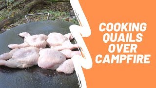 BEST QUAIL RECIPE | Cooking QUAILS In The Forest | CATCH \u0026 COOK QUAILS