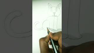 Cat word ରେ ଏକ ବିଲେଇ ର ଚିତ୍ର।#youtubeshorts #drawing #youtube #ytshorts #ytshorts