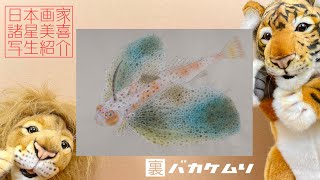 【日本画 写生】裏バカケムリ！日本画家･諸星美喜♪魚、動物などの写生をご紹介‼︎ Introducing the sketches of Japanese painter