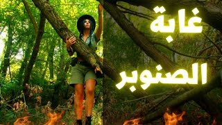 سيزرية غابة الصنوبر ، قنبلة جذب الحبيب و أقوى ما ستجربه في حياتك.