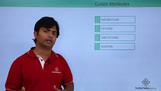 Oracle - PL/SQL - Implicit Cursors