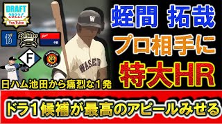 2022年ドラフト１位候補　早稲田大『蛭間拓哉』がプロアマ交流戦で日ハム池田から特大のホームラン！　オリックス、中日、阪神、日ハム、ＤeNAが調査中の六大学屈指のスラッガーが今熱い！