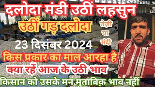 23 दिसंबर 2024 आज के उठी लहसुन के भाव दलोदा मंडी।today uthi bhav | daloda mandi bhav |garlic bhav