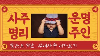 (왕초보 사주명리 3탄) 내사주 내가보기로 운명의 주인되기