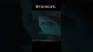 サメに遭遇した時の対処法#shorts