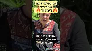 הקלה מיידית - הפה והגפיים | לימזור