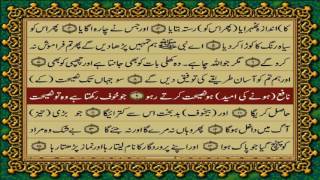 87 SURAH AL AALA JUST URDU TRANSLATION WITH TEXT FATEH MUHAMMAD JALANDRI HD