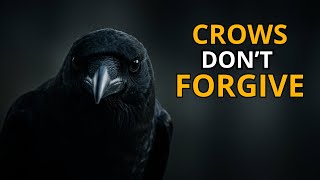 Why Crows Never Forget Your Face