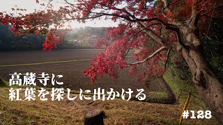 朝の高蔵寺(高倉観音)へ紅葉を探しに出かける VLOG📹ep128