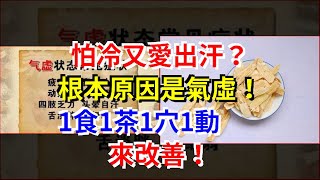 怕冷又愛出汗？根本原因是氣虛！1食1茶1穴1動來改善！