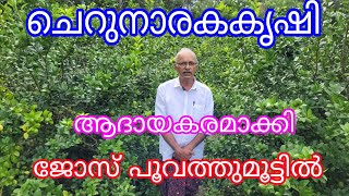 Market Lemon Cultivation#jose Poovathummoottil#Antony Muniyara Vlogs