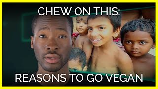 Chew On This: Every Reason You'll Ever Need to Go Vegan