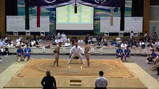 2019年IH 相撲 男子 団体 決勝トーナメント 1回戦 平舘（岩手） × 高岡向陵（富山）