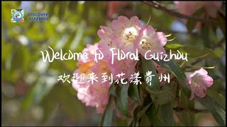 Flowers in Guizhou| Welcome to Bijie of floral Guizhou