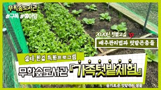 [무학숲도서관📚] 무학숲도서관과 함께 하는🌾가족텃밭체험👨🏻‍🌾 _ 배추 관리법 및 텃밭 곤충들