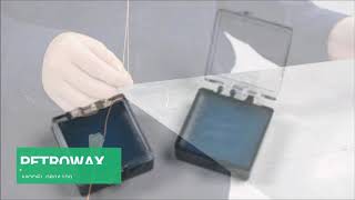 Complete Modal Testing of a Thin Plate Structure