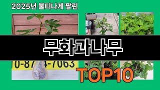 무화과나무 후기 좋은 쿠팡 베스트셀러 BEST 10