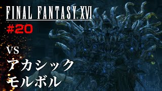 #20【FF16】vsアカシック・モルボル【初見】ファイナルファンタジー16【ネタバレあり】【飛羽カエル】