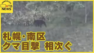 札幌市で４～５頭のクマ目撃情報　南区藻岩山の斜面　　約１ｋｍ離れた住宅の庭でもクマを目撃