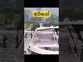 කොහොමද දාපු වැඩ කෑලි ටික...🌊🛥️🚫 srilanka viralvideo viralvideo travelsl