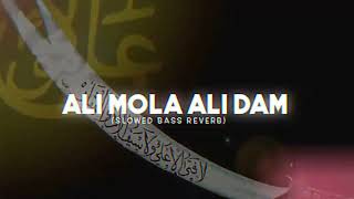 Ali Mola Ali Dam Dam | Slowed & Reverb | Sultan Ul Qadria Qawwal | Echo_Glow
