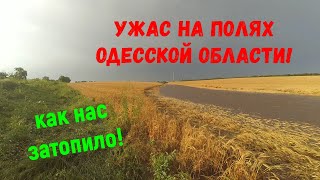 Ужас на полях Одесской области! Или как нас Затопило!