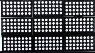 Large-scale monitoring of copulation duration in Drosophila