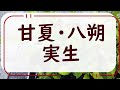 【種からみかん実生】種からアマナツ実生・ハッサク実生　1年目の管理　１年目の管理が一番大事です。＃みかん実生＃ハッサク実生＃アマナツ実生