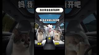 当全家出去自驾游时 #喵不可言 #funny #cat #猫meme #喵 #喵星人 #cute #貓 #shorts