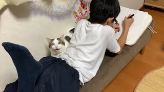 Cat ends up returning to our son