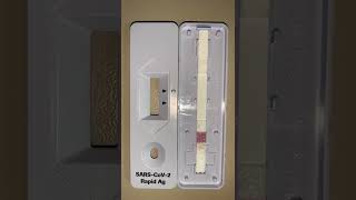 How Does Covid-19 Antigen Tests Work?