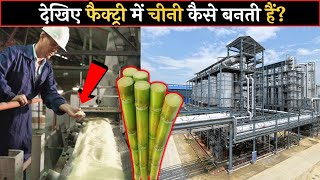 देखिए फैक्ट्री में चीनी कैसे बनती हैं ? | Sugar Making Process How It's Made | See How Sugar Is Made