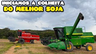 MELHOR SOJA QUE JÁ COLHEMOS NA NOSSA FAZENDA!