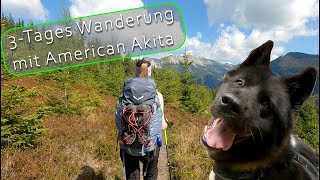 Grüner See | American Akita | 50km Wanderung