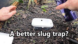 Quick Garden Update, Slug control and a few plans on what I shall be growing