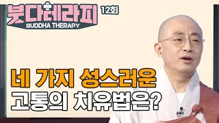 네 가지 성스러운 고통의 치유법은? [효산스님의 붓다 테라피 12회]