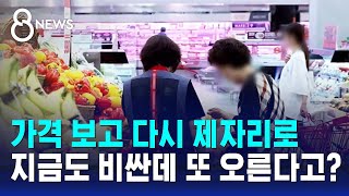 가격 보고 다시 제자리로…지금도 비싼데 또 오른다고? / SBS 8뉴스