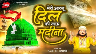 मेरी आरजू दिल की जाऊ मदीना | Nazir Ali Qadri |New Islamic Wakya | नया वाक्या | 2023 Waqya