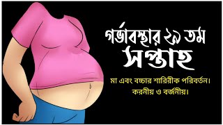 গর্ভাবস্থার ঊনত্রিশ সপ্তাহ | সপ্তাহ অনুযায়ী গর্ভাবস্থা | ২৯ সপ্তাহ |  29 Week pregnanat