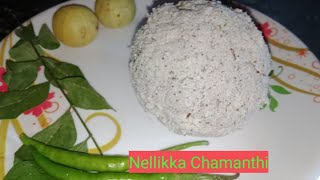 ചോറിനും കഞ്ഞിക്കും ഈ ഒരു ചമ്മന്തി മതി||Nellikka Chamanthi|| നെല്ലിക്ക ചമ്മന്തി||Gooseberry Chutney