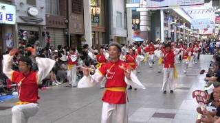 高知よさこい祭り2012　二日目　帯屋町筋　東京　土佐寮